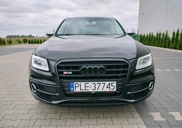 Audi SQ5 cena 92500 przebieg: 192000, rok produkcji 2014 z Drzewica małe 301